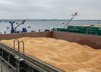 Повече от 20 милиона тона зърно са блокирани от Русия в украински пристанища