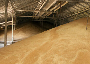 В Волин се строи сухо пристанище за съхранение на селскостопански продукти