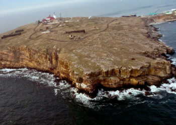 Въоръжените сили на Украйна унищожиха останките от руско оборудване на остров Змайини