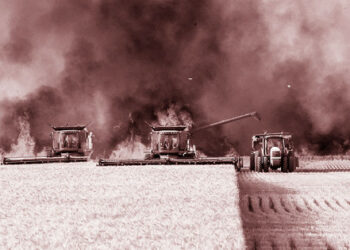 Защо ни е сделка със зърно