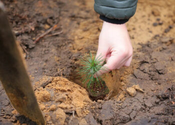 По време на кацането на горите в района на Лвов бяха събрани 6,5 хиляди долара с кола за военните.
