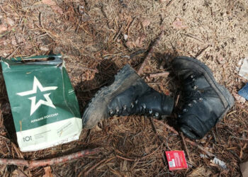 Поради липсата на офицери, Русия включва кадети от военни училища във войната.