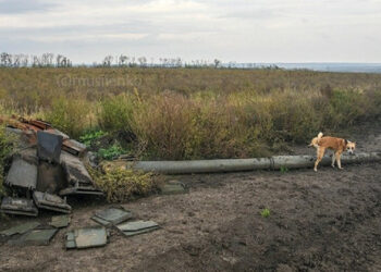 Резултати от 226-ия ден от войната