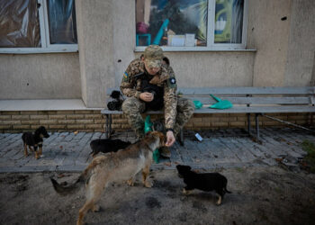 Резултати от 257-ия ден на войната: нашите победи и загуби