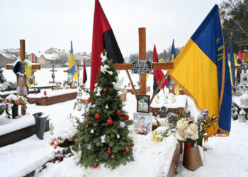 Коледна елха на гроба на войник, убит във войната в Лвов. Снимка на деня