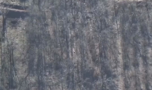 Войници от 71-ва бригада на ДШВ покриха група диверсанти край Бахмут