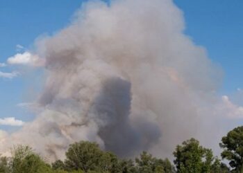 ГУР підтвердило операцію російських добровольців у Бєлгородській області
