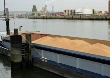 Через простій суден із зерном Україна зазнала збитків на понад мільярд доларів