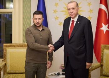 Ердоган визнав, що Україна заслуговує на членство в НАТО