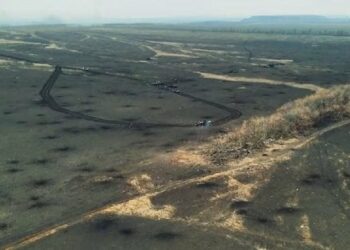 Українські військові показали вкриті трупами росіян поля поблизу Авдіївки