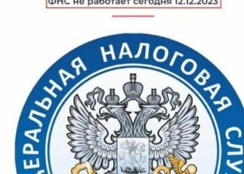 Кіберфахівці ГУР знищили базу даних податкової служби Росії