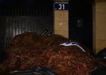 "Росія = лайно!": під будинок російського посла у Варшаві скинули вантажівку гною. Фото, відео