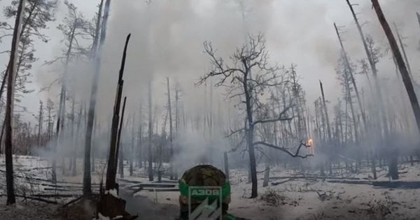 Бійці «Азову» показали зачистку позицій росіян в лісах Кремінної (відео)