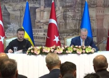 Ердоган хоче провести мирний саміт за участі Росії