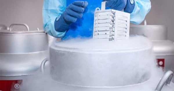 Зеленський підписав закон про збереження репродуктивних клітин військових після їхньої смерті