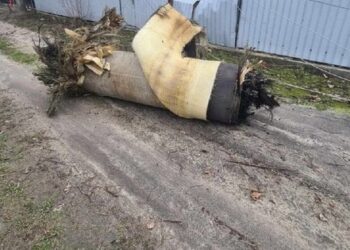 Росіяни накопичили «Циркони» в Криму для точкових ударів по Україні, – Гуменюк