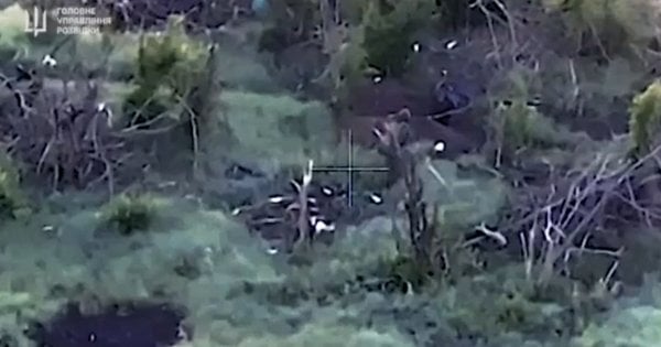 ГУР ідентифікувало росіян, які розстріляли групу українських військовополонених на Запоріжжі