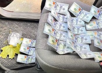 СБУ затримала у Львові командира взводу на хабарі за оформлення інвалідності