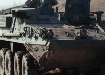 Stryker 80-ї бригади ДШВ доганяє і давить у полях Курщини російську піхоту. Відео дня