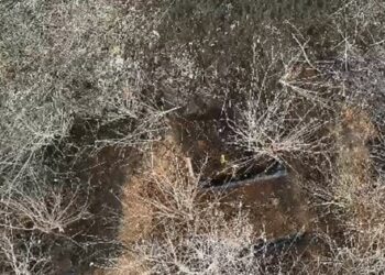 Пораненому бійцю «Азова» дронами доставили на передову кров для переливання