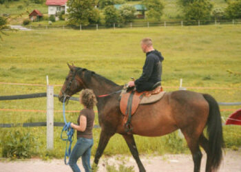 Ve Lvově se obnovuje hipoterapie pro armádu