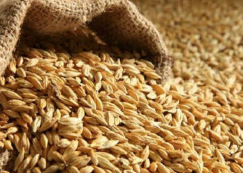 Borrell označil blokádu ukrajinského obilí ze strany Ruské federace za válečný zločin