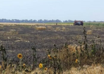 Na okupovaných územích jim farmáři ničí úrodu, aby je nedali Rusům