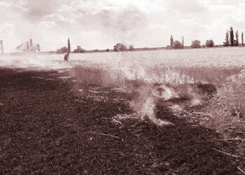 Битва за зерно