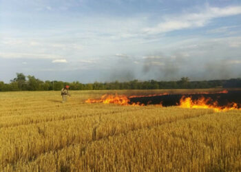 Ukrajina přišla kvůli válce až o 10 milionů tun potenciální úrody