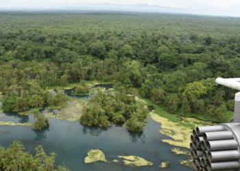 Ukrajinská armáda se vrátila z mise OSN v Kongu, aby pomohla ve válce s Ruskem