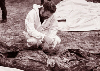 Ukrajinci shromažďují důkazy o zločinech