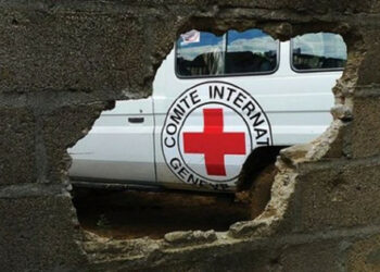 Zelenskyj vyzval Červený kříž, aby "bojoval" za získání přístupu k ukrajinským vězňům