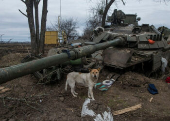 Poradce šéfa prezidentské kanceláře vyjádřil celkové bojové ztráty Ruska