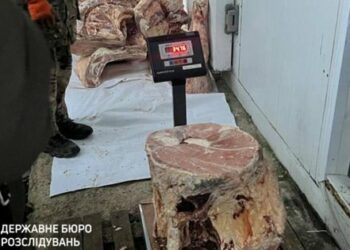 Voják z Prykarpatí byl obviněn z nedbalosti kvůli zkaženým 8,5 tunám masa