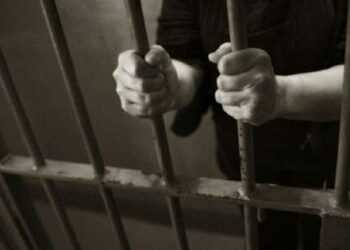 Львівський суд призначив рік тюрми жінці, яка підтримувала російських військових