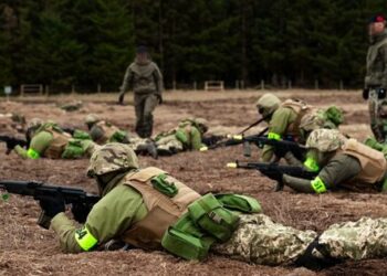 До 5 тис. військових ЗСУ таємно пройшли навчання у Швеції, – The Times