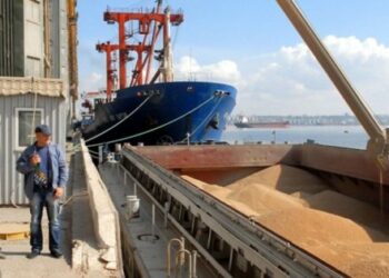 Росія блокує інспекцію 90  суден з українським зерном та агропродукцією