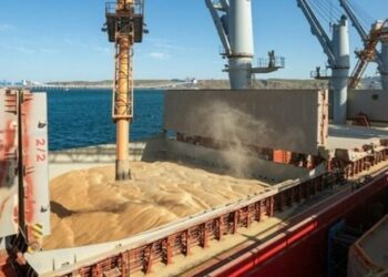 В Туреччині не вдалося продовжити чорноморську «зернову угоду»