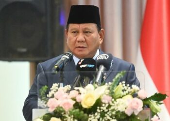 Індонезія запропонувала свій мирний план для закінчення війни в Україні