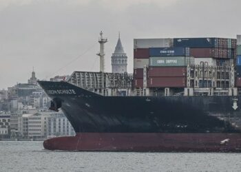 Британські літаки захищають судна з українським зерном у Чорному морі