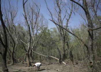 Румунія викликала тимчасового повіреного у справах Росії через падіння дронів-камікадзе