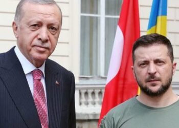 Туреччина братиме участь у переговорах щодо Формули миру, які відбудуться на Мальті