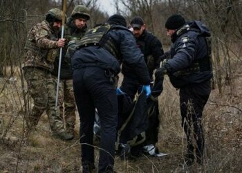 На Запоріжжі у замінованій лісосмузі підірвався грибник