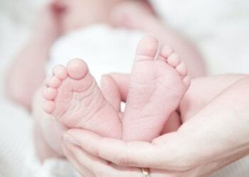 У МОЗ запевнили, що кріобанки не будуть утилізувати біоматеріали загиблих військових