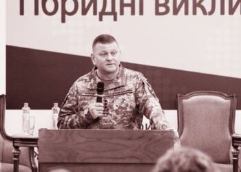 Політичний потенціал Залужного