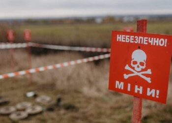 На Херсонщині під час збору дров двоє чоловіків підірвалися на російській міні