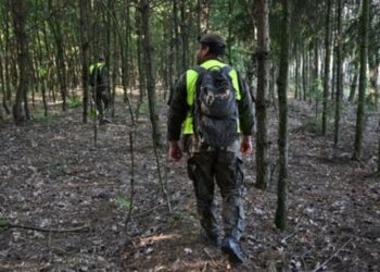 В НАТО відреагували на російський дрон у повітряному просторі Польщі