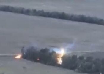 Дрон ЗСУ випалив термітом лісосмугу у Запоріжжі. Відео дня