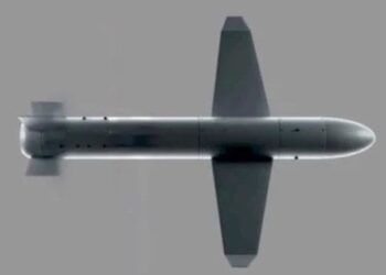 Литва інвестує у виробництво ракети-дрона «Паляниця» 10 млн євро