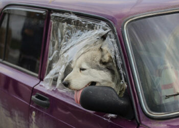 Rusi u Zaporožju skrivaju se iza civila zbog prijenosa opreme
